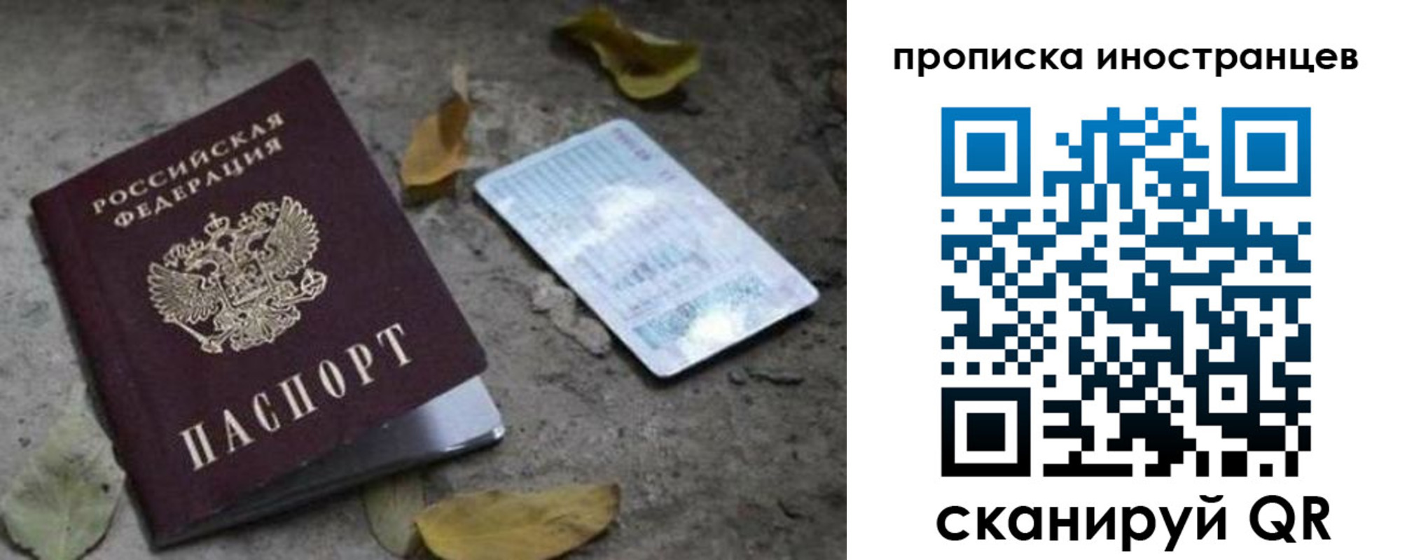 прописка законно в Выборге